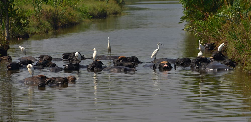 Ordinary Tours / Adventures in Sri Lanka