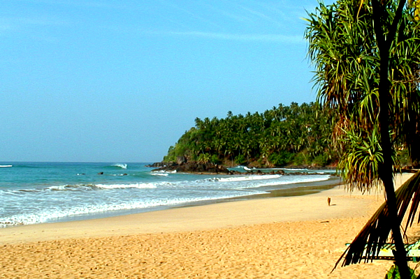 Luxury Holidays To Northern Sri Lanka South Beaches Sri Lanka Beach Luxury Tour To Mirissa